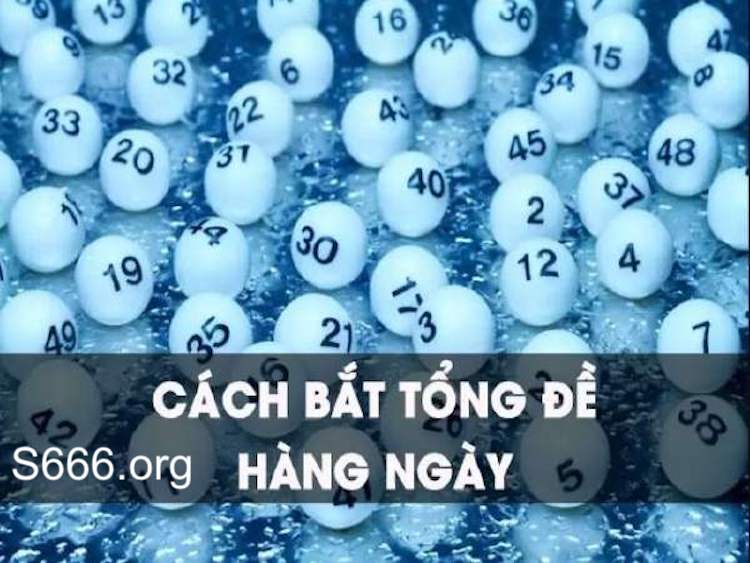 Cách bắt tổng đề hàng ngày